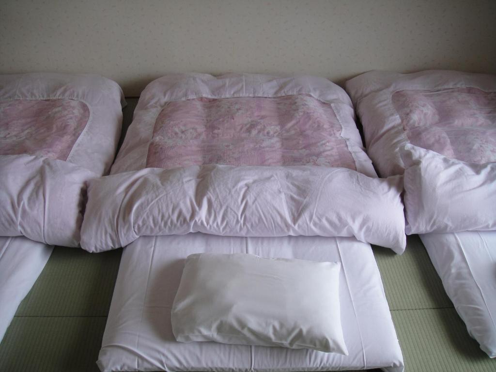 Sudomari Hotel Roman Tsutsuji Nikko Cameră foto
